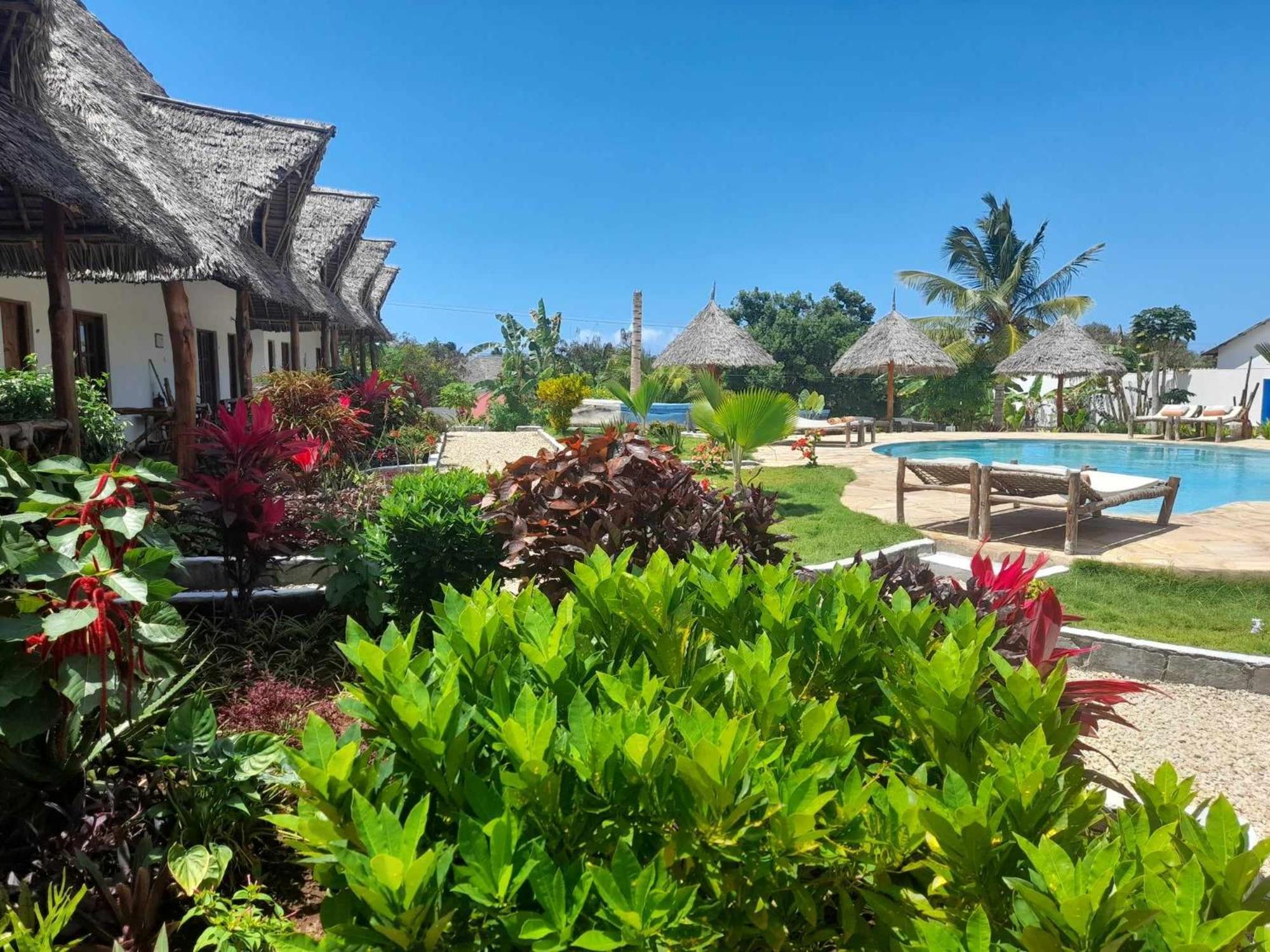 Africa Dream Bungalow Kiwengwa Hotel Kiwengwa  Exterior photo